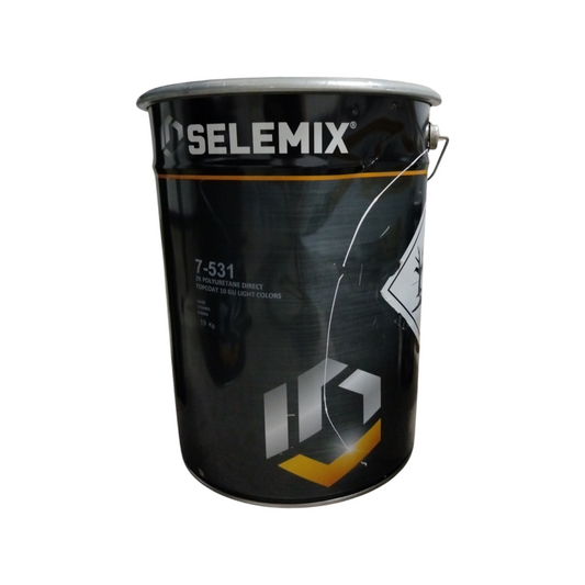 Selemix  7-531 Smalto Adesione Diretta 10 Gloss Light Color Da Kg 19,00