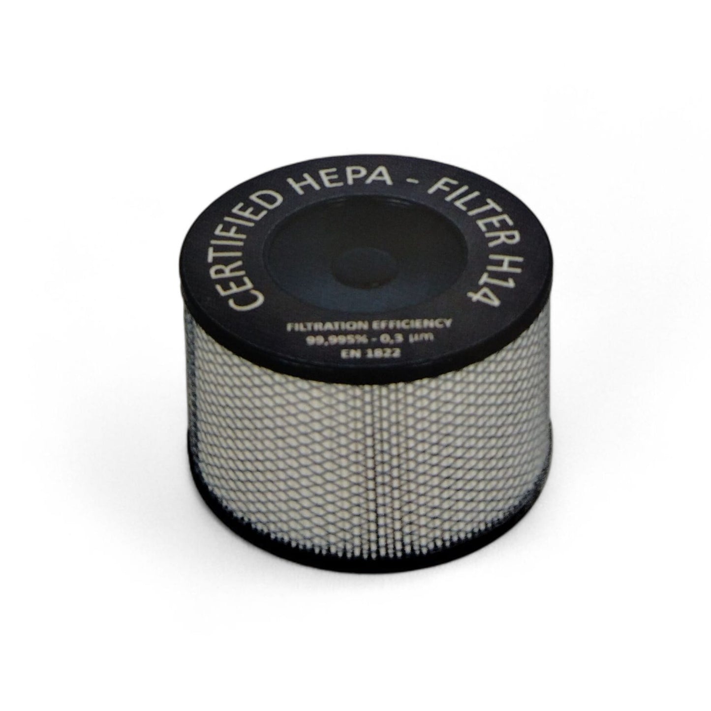 RUPES KS300EPH Aspiratore Mobile Professionale Elettropneumatico + Station System + Filtro H